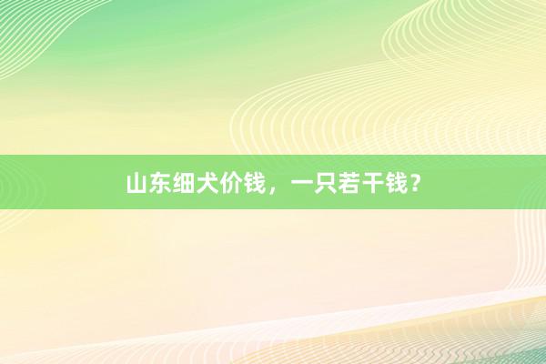 山东细犬价钱，一只若干钱？