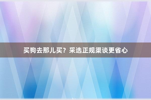 买狗去那儿买?采选正规渠谈更省心